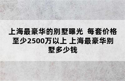 上海最豪华的别墅曝光  每套价格至少2500万以上 上海最豪华别墅多少钱